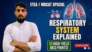 What is respiratory  system  explain by Muhammad zubair  2nd year  biology