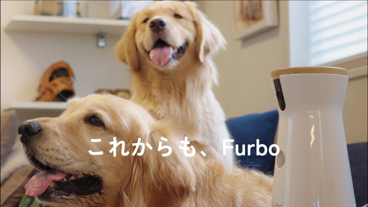 ☆もあ☆プロフ必読様専用 美品 旧型ファーボ ドッグカメラ 公式】すべて
