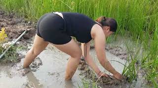 WOW Sexy Girl Fishing at battambang Province in cambodia Traditional Fishing(part57)