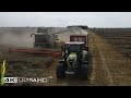 46ha weizen schnellroda lexion 770 landwirtschaftsbetrieb bollmann originalton keine musik 4k u.