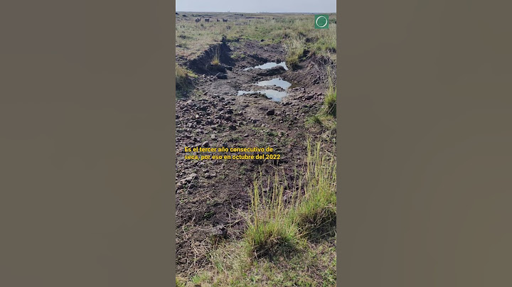 #shorts Preocupa la sequía en el campo: empezó a morir ganado