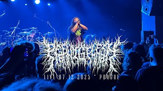 PeelingFlesh (Live 07.12.2025, Prague)