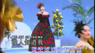 Video thumbnail of "意难忘——陈思安"