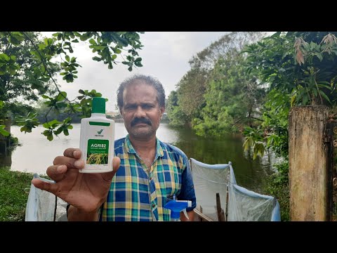 plant growth promoter for fast growth / पेड़ के वृद्धि और