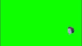 Ninja Rage Green Screen (What the F did you say to me you little S*it)