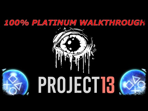 PROJECT 13 |