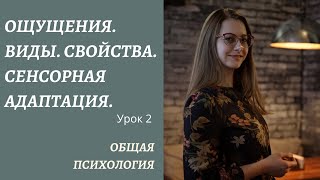 Ощущения. Часть 2. Виды ощущений. Свойства и характеристики. Сенсорная адаптация и взаимодействие.