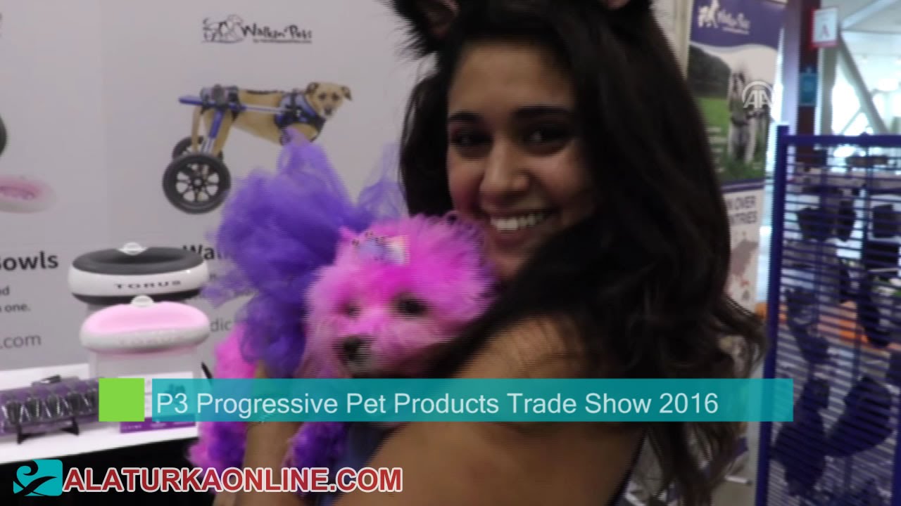 P3 Progressive Pet Products Trade Show in Chicago YouTube