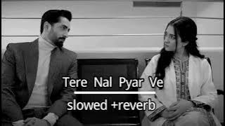 Tere Nal pyar Ve | slowed   reverb | #song #slowedandreverb 