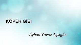 Köpek Gi̇bi̇ - Ayhan Yavuz Açıkgöz