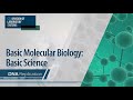 The Intricacies of DNA Replication and Its Enzymatic Players