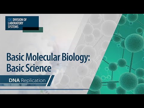 Basic Molecular Biology: Basic Science – DNA Replication