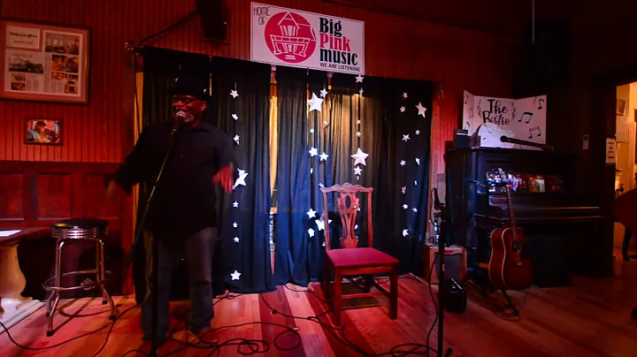 Vickie Harris - Autoharp at the Big Pink
