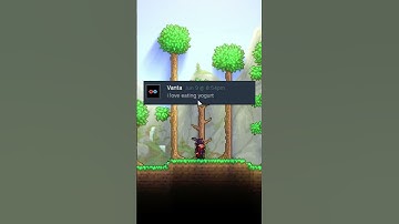 Just Why #terraria #gaming #shorts #funny #mods #seeds #info #facts #terrariamods #tmodloader