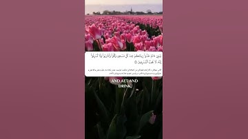 شيخ رعد الكردي حالات واتس اب | سورة (الأعراف: ٣١)