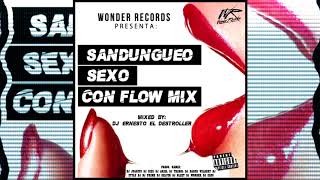 Sandungueo Sexo Con Flow Mix By Dj Ernesto El Destroller WR