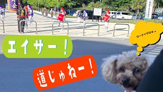 【沖縄】エイサー＠道じゅねーが近くの広場で行われていました。