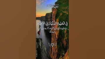 سورة فصلت مع الترجمة #foryou #trending #quran #tlawat
