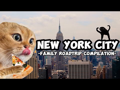 CAT MEMES: FAMILY ROADTRIP COMPILATION NEW YORK + EXTRA SCENES