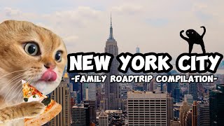 Cat Memes Family Roadtrip Compilation New York Extra Scenes