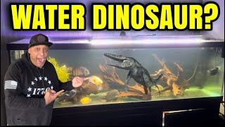 Rare Freshwater Dinosaur Fish!
Picked up a freshwater dinosaur fish and Super Rare Cichlid.
GAISER PETS
https://m.facebook.com/GaiserPets/
IG
https://instagram.com/gaiser_pets_official?utm_source=ig_profile_share&igshid=18epe4w0vdjy8
Get your Minn Finn at⬇️
KOI ENTERPRISE
KOI AUCTION
https://www.quinterokoi.com/koi-auctions/goshiki_142
FACEBOOK
https://www.facebook.com/koienterprise/
TIKTOK
https://vm.tiktok.com/TTPd2WBYYF/
IG
https://instagram.com/koidealer?utm_medium=copy_link
WEBSITE
http://www.koienterprise.com/
AQUARIUM/REPTILE DEPOT
SHOP ONLINE
https://depotpet.shop/?fbclid=PAAaZ7k3ZPsoQvWNvtunjtqu5E6nZSTCylbekxfebk9HByt7wX0Dgzu20n_RM_aem_AZblC5ziImgmnSE1ffQmvEsvwA3ZMKJe1DSphtqJHDcC_yxg4O0ZBjInd45YMtdFmns
YouTube
https://www.youtube.com/channel/UCvATv4gp3ZR9jXI1wBt7INg
INSTAGRAM
https://instagram.com/aquariumdepot?utm_source=ig_profile_share&igshid=1dui40ayjrqox
FACEBOOK
https://www.facebook.com/AquariumDepot/
SICCE
PLAYLIST
https://youtube.com/playlist?list=PLpHw9_vsV8hvS8rnUu8-B2PmlJuDKtC3c
IG
https://instagram.com/sicceus?utm_medium=copy_link
WEBSITE
https://www.sicce.com/it/
MOUNTAIN TREE
To Purchase MT products EMAIL👇🏽👇🏽
info@wave-point.com
WEBSITE
https://www.imountaintree.com/
IG
https://instagram.com/mountaintreegroup?igshid=NTdlMDg3MTY=
YOUTUBE
https://youtube.com/@mountaintreegroup?si=acHD5ZsbyIJFeHkI
MICROBE-LIFT
https://microbelift.com/
IG
https://instagram.com/microbelift?igshid=MzRlODBiNWFlZA
YouTube
https://youtube.com/@microbeliftproducts?si=WGr5IGP1DIlcqAv-
MINN FINN
Playlist
https://youtube.com/playlist?list=PLpHw9_vsV8hupoimpyNuNX5abt6Gc1Jlo&si=4aC4THEOjSPp_L-0
PAUL CURTIS
http://Www.MinnFinn.com
Literature
Calculator
Hygger website:
https://www.hygger-online.com/
Hygger YouTube
https://youtube.com/@Hygger-Aquarium?si=cp5MTVnjn8xZABx8
Hygger Facebook:
https://www.facebook.com/shenzhenmago
Hygger facebook group:
https://www.facebook.com/groups/503508973356337/
ISLAND SILVER CROWNS
IG
https://instagram.com/islandsilvercrowns?utm_medium=copy_link
WEBSITE
https://www.islandsilvercrowns.com/
THE POND DIGGER
LINKTR.EE
https://linktr.ee/theponddigger?fbclid=PAAab_Tot5W-z_TWKZA4aRr-HOj0zx7vkycBAB6z4YZuSvB-yTFVsHXneXZio
THE POND DIGGER PODCAST
https://podcasts.apple.com/us/podcast/the-pond-digger-podcast/id1439751720
HELIX SKIMMER
https://youtu.be/FgKeJOzoGwI
Follow Me!!
🤙🏽Subscribe 👉🏽🔴Youtube
https://www.youtube.com/user/kainoahuleia
🤙🏽Instagram
https://www.instagram.com/haynfishkeeper/
🤙🏽TIKI FALLS 2.0 FACEBOOK PAGE
https://m.facebook.com/tikifalls/
Thank you for your support much LOVE & ALOHA 🤙🏽🐠🤙🏽
🤙🏽PAYPAL
https://www.paypal.me/hawaiiheat
Ha Y N Fish Keeper MERCH
COMING SOON!!
📹WEEKLY VIDEOS📹
Ha Y N Fish Keeper Playlists
🐠 POPULAR UPLOADS
https://www.youtube.com/playlist?list=PLE0EA763684EEA34D
🐠FISH TANK “PRANK” so Funny!
https://youtu.be/NUwwpg_4WK0
🐠 LFS TOURS
https://www.youtube.com/playlist?list=PLpHw9_vsV8hs5toboR99iFXIXLfzcTbuf
🐠MAUI & MOANA
https://www.youtube.com/playlist?list=PLpHw9_vsV8hsITv KUy1OSN9p4ZpLSC2
🗿TIKI FALLS PLAYLIST
https://www.youtube.com/playlist?list=PLpHw9_vsV8htNo52EgeXqKJ0YWPhLRMLp
🐠FISH RESCUE
https://www.youtube.com/playlist?list=PLpHw9_vsV8htkbkPIp8AshtQ8kGy-iCLQ
🐠MAKING A BONSAI TREE
https://www.youtube.com/playlist?list=PLpHw9_vsV8htPm8ADqKl8ufmp2HfKZ-bO
Don’t forget to....
🤙🏽Like
🤙🏽Share
🤙🏽Comment
MUSIC
Outro
Na Hana Hui A Maui
Mark Keali’i Hoʻomalu
(I do not Own the rights All rights belong to the owner)
https://youtu.be/JKms_AtWWzs Rare Freshwater Dinosaur Fish!