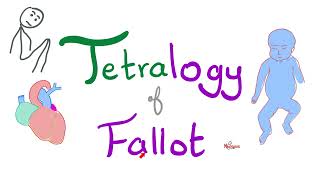 Tetralogy of Fallot (TOF) | Cyanotic Congenital Heart Disease (CHD) | Cardiology 🫀