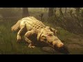 Playing as Alligators in Red Dead Redemption 2