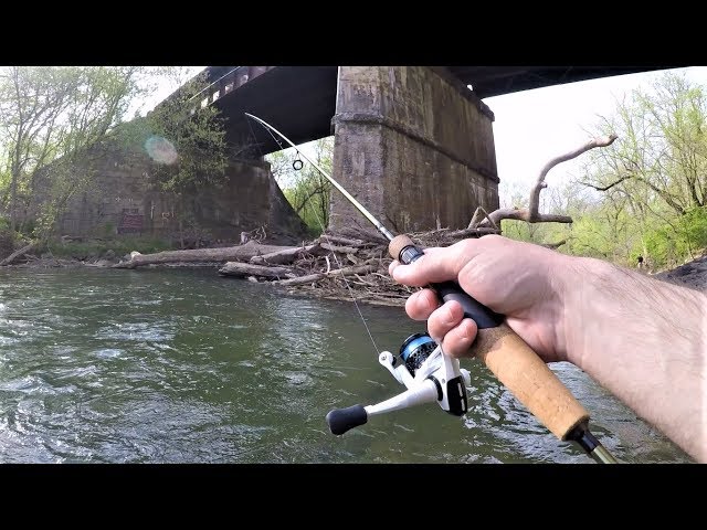 Spinner Fishing for Trout: Tips and Techniques