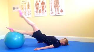 Swiss Ball Single Leg Reverse Plank