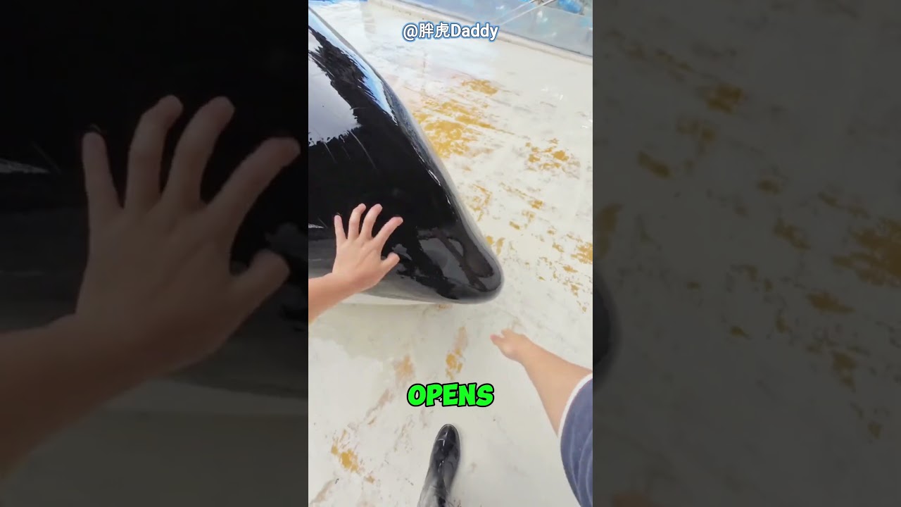 Спа-процедуры в Orca растапливают сердца ✨