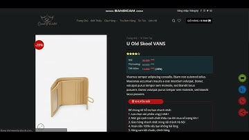 Web bán túi xách - PHP Wordpress