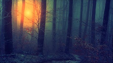 الشيخ خالد الجهيم - من سوره البقره
