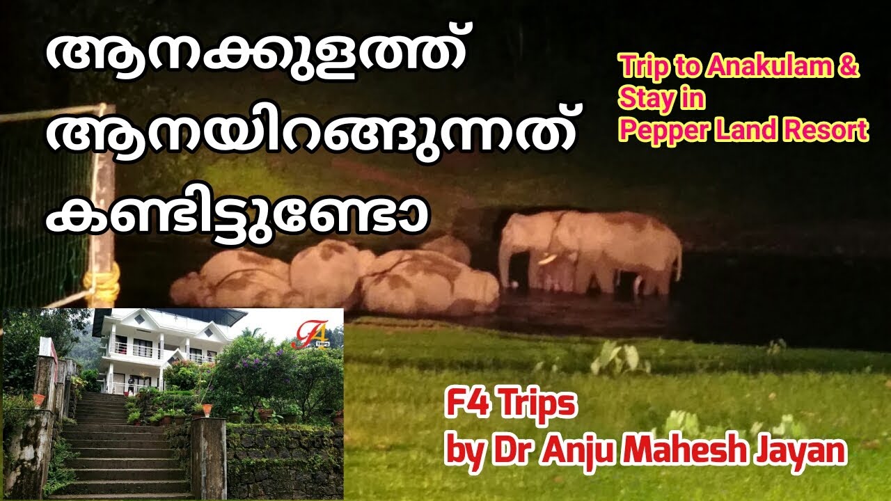 Mankulam Anakulam Trip 1 Mankulam Munnar Anakulam Elephant View mankulam-anakulam-trip-1-mankulam-munnar-anakulam-elephant-view