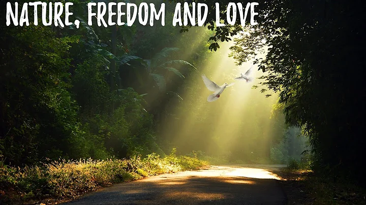 NATURE, FREEDOM, AND LOVE with Jon Turk