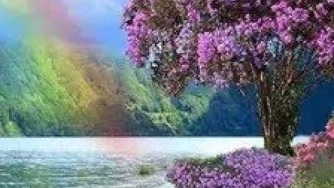 سورة الزمر من (١١ إلى ٢١) بصوت أيمن السويد