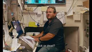 #BIFF2020 World Cinema - A l’abordage! / 월드 시네마 - 전원, 승차!