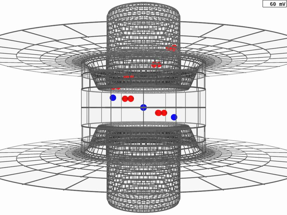 "Sliding Helix" model animation of voltage response from the side (Fig