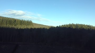 Calm Attack - Home (Official Video)