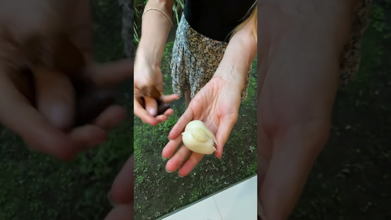 WOULD YOU EAT SNAKE SKIN FRUIT!?