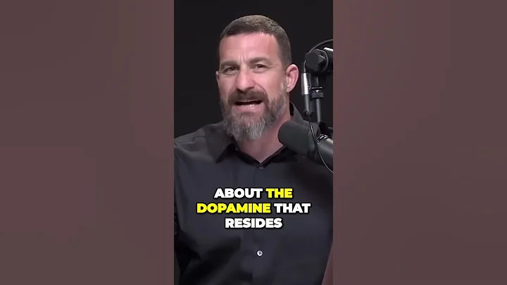 Andrew Huberman: The Power of Dopamine Unlocking Motivation in Your Brain 🧠