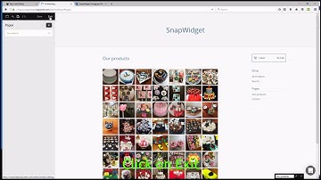 Adding a SnapWidget Instagram widget to BigCartel on a new page