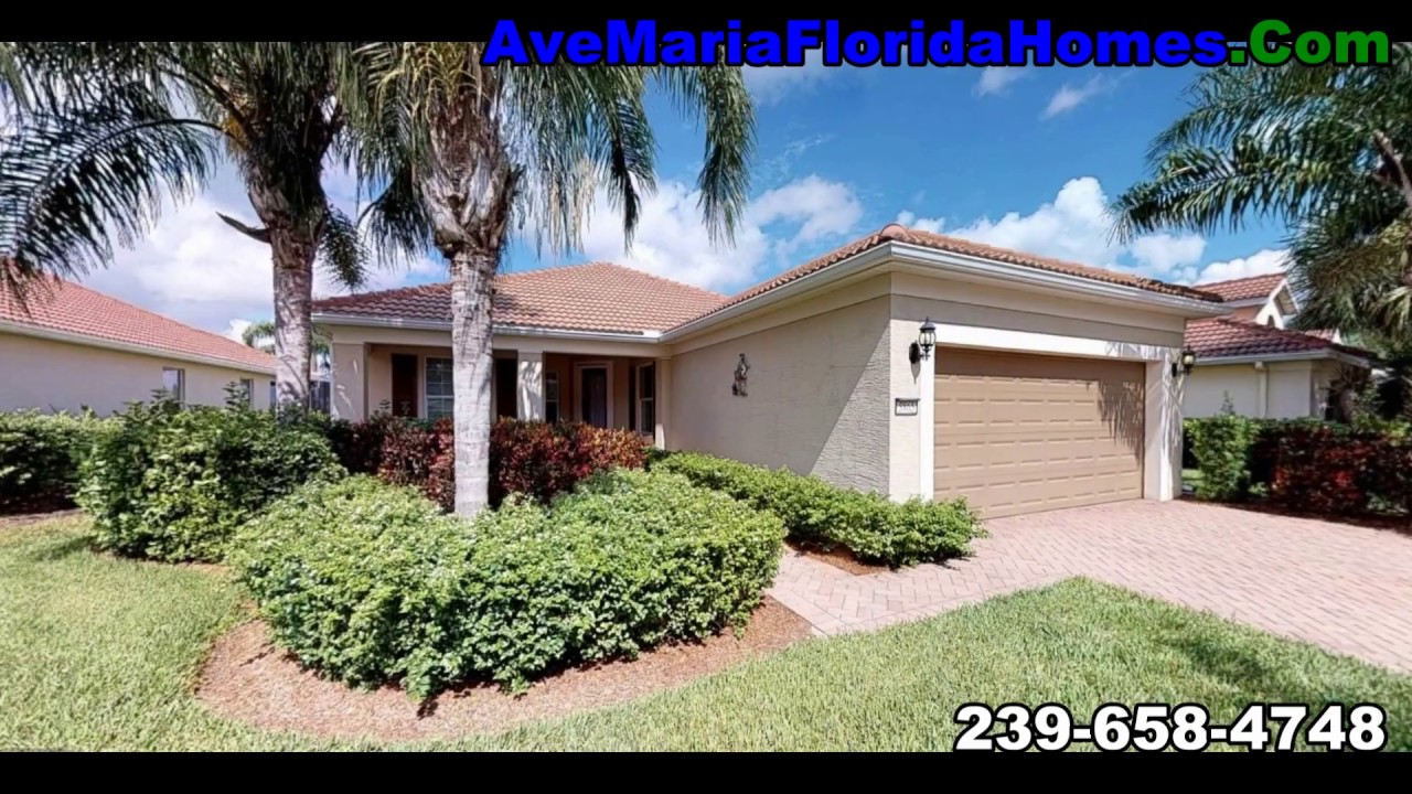 Ave Maria Florida Del b "Surrey Crest"