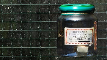 PERIPHERALIA (nutteloos filmpje)