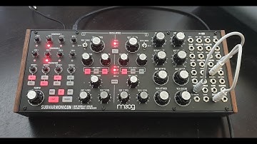 Moog Subharmonicon Synthesizer for Relaxing meditative music.