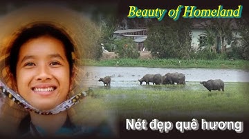 Đi qua những cánh đồng ngập nước vùng 7 Núi vào mùa nước nổi, An Giang 12/09/2018