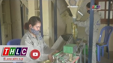 Chính sách khuyến công - “Bà đỡ” cho tiểu thủ công nghiệp nông thôn phát triển | THLC