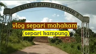 Vlog Desa Separi Mahakamsepari Kampungtenggarong Seberang
