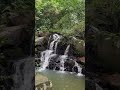 Внутреннее умиротворение 🐼