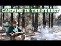 Camping in the Forest - Arizona VanLife 02/22