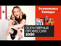 Работа в Канаде. Самые востребованные профессии в Канаде 2020